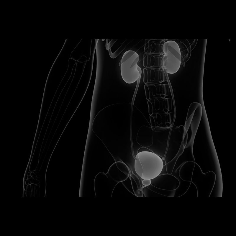 Urología